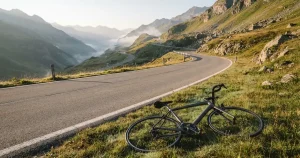 Tour de France Wettanbieter im Vergleich – Lizenz, Quoten, Märkte